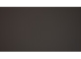 0793 FNX NTM BLOOM  Grigio Aragona FNX NTM BLOOM  0.7mm 3050x1300