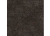 5407 ST21  Polished Concrete  P 0.5mm 3050x1310