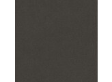 5419 ST21  Black Stone  P 0.5mm 3050x1310
