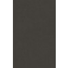 5419 ST21  Black Stone  P 0.5mm 3050x1310