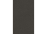 5419 ST21  Black Stone  P 0.5mm 3050x1310