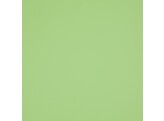 660 R  Verde Acido Erre  0.9mm 3050x1300