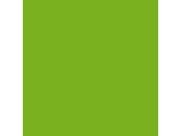 F6901 MAT  Vibrant Green  0.7mm 3050x1300