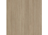 J003  Jungle Borneo Jungle  0.8mm 2800x2050