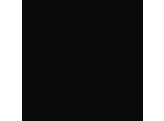 L3031 SC  Black   0.8mm 3050x1320