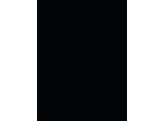L3031 SC  Black   0.8mm 3050x1320