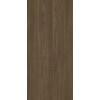 K ABS 23 x 0.8mm/M6341 FUN  Italian Echo  