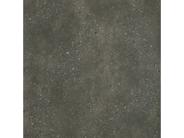 WRA/OL 08  Artemis  /POL/SP 38.7mm 4100x640