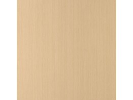 FINELINE ASH 0.6MM
